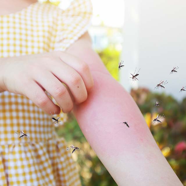 DIY vs. Store-bought: How to Choose the Right Mosquito Repellent for your Baby