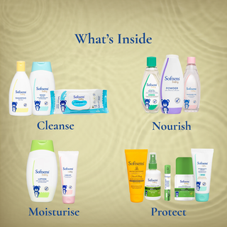 All in One Bundle with Free Lunch Bag