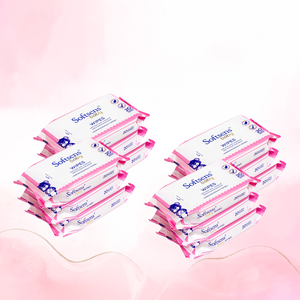 Skin Care Wet Wipes (20 Wipes) Pack of 12