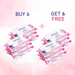 Skin Care Wet Wipes (20 Pcs) Pack of 12